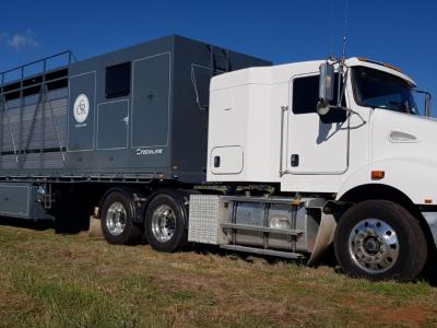 Stockline Horse Trailer